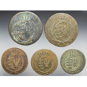 Księstwo Warszawskie, Zestaw pięciu monet