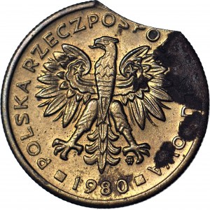 R-, 2 gold 1980, DESTRUKT, punch error