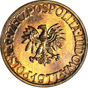 5 gold 1977, mint