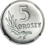 5 pennies 1960, minted