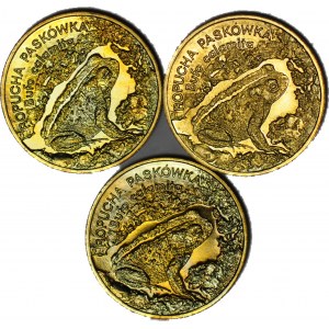 2 złote GN, 1998, zestaw 3 szt. Ropucha