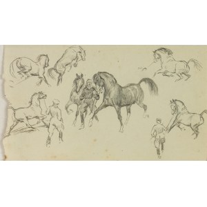 Ludwik MACIĄG (1920-2007), Szkice koni w różnych ujęciach i jeźdźców