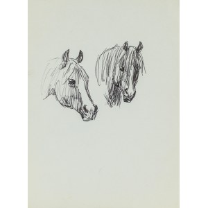 Ludwik MACIĄG (1920-2007), Sketches of a horse's head