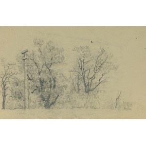 Ludwik MACIĄG (1920-2007), Sketch of a landscape with trees