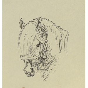 Ludwik MACIĄG (1920-2007), Głowa konia