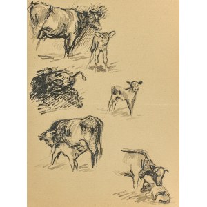 Ludwik MACIĄG (1920-2007), Sketches of a cow and a calf