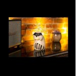 Borowski Studio, Bandito