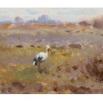 Adam Setkowicz (1875 - 1945), Storks in the Meadow.