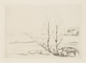 Edvard Munch (1863 - 1944), 
