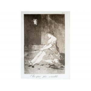 Francisco de Goya, Fuendetodos 1746 - 1828 Bordeaux, Por que fue sensible