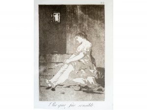 Francisco de Goya, Fuendetodos 1746 - 1828 Bordeaux, Por que fue sensible