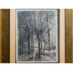 Etching, Pastoral landscape
