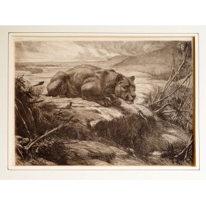 Evert Louis van Muyden, Albano, Lazio 1853 - 1922 Orsay, Original etching
