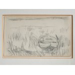 Pencil or charcoal drawing