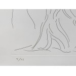 Lithography / Etching