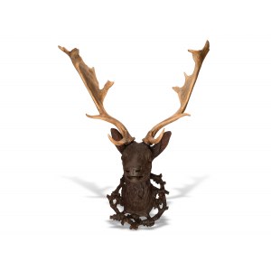 Hunting trophy, Deer head with dam deer antlers, Upper Austria or Styria
