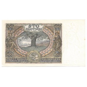 100 złotych 1934 - AV - dodatkowy znak wodny dwie kreski na dolnym marginesie -