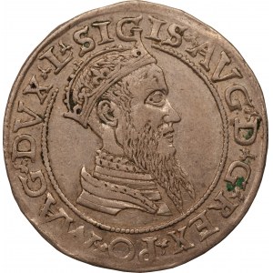 Zygmunt II August - czworak 1566 - Wilno 