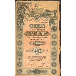 TRZEBINIA - Kraków - 200 koron 1919 - 