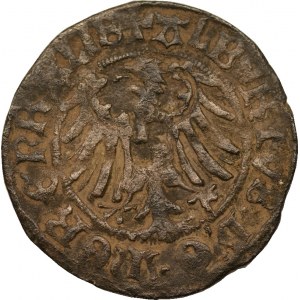 Albrecht Hohenzollern - grosz 1519 - rzadki
