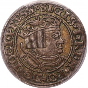 Zygmunt I Stary - grosz 1532 - Toruń - PCGS AU50