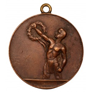 Medal za zdobycie pucharu PZOPN 1927