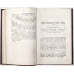 Ostrowski J., PIERWOTNE DZIEJE POLSKI I LITWY, 1870 [Badania krytyczno-historyczne i literackie]