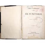 Flammarion K., GOD IN THE FIELD, 1875