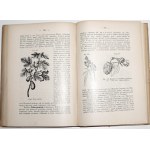 Heilpern M., PRINCIPY BOTANIKY, 1907 [ilustrácie].
