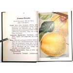 ODMIANU JABŁEK I GRUSZEK w 52 kol. tab., 1920 [Wertvolle Apfel- und Birnensorten in 52 Farbdrucktafeln]