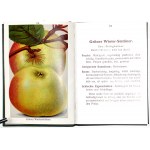 ODMIANU JABŁEK I GRUSZEK w 52 kol. tab., 1920 [Wertvolle Apfel- und Birnensorten in 52 Farbdrucktafeln]