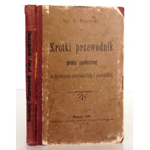 Trzciński T., KRÓTKI PRZEWODNIK… diecezja gnieźnieńska, poznańska, 1907