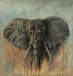 Milena Kolbus, Elephant