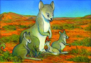 Richard Wawro, „Rodzina kangurów w Nowej Południowo-Zachodniej Australii”, 1989