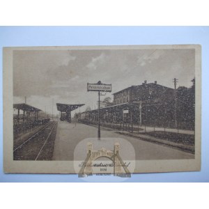 Pyskowice, Peiskretscham, Bahnhof, Bahnsteige, ca. 1920