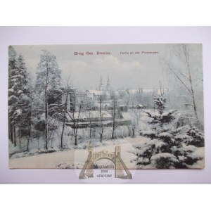 Brzeg, brieg, zimowa panorama, 1910