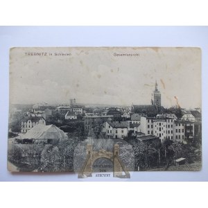 Trzebnica, Trebnitz, panorama, cyrk, ok. 1910