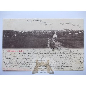Strzelin, Strehlen, panorama, 1902