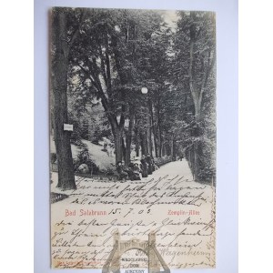 Szczawno Zdrój, Salzbrunn, Zemplin Allee, 1903