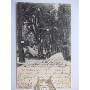 Szczawno Zdrój, Salzbrunn, Zempliner Allee, 1903