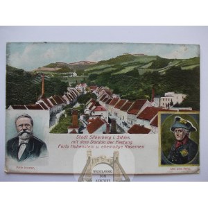 Srebrna Góra, Silberberg, miasteczko, cała tłoczona, ok. 1906