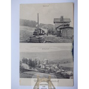 Okrzeszym near Kamienna Gora, railway station, locomotive, ca. 1910