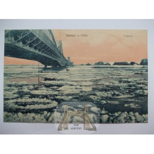 Ścinawa, Steinau, zator lodowy na Odrze, most, 1915