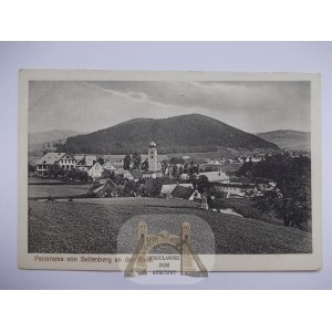 Stronie Slaskie, Seitenberg, panorama, circa 1920.