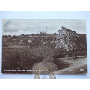 Zielona Góra, Grunberg, panorama, hills, 1928