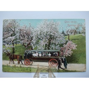 Gubin, Guben, Kwitnące drzewa, omnibus, 1906