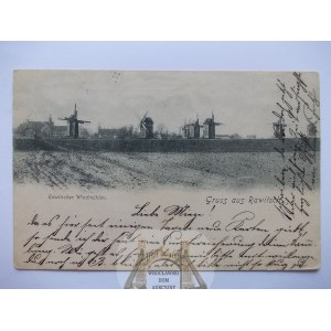Rawicz, Rawitsch, wiatrak, wiatraki, 1898