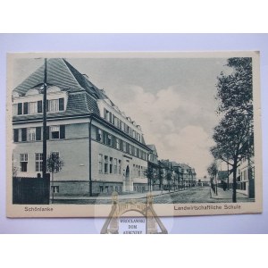 Trzcianka, Schonlanke, szkoła, 1932