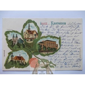 Krotoszyn, Krotoschin, litografia, koniczyna, 1901