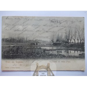 Rogozno, Rogasen, Dorf, Fluss 1904